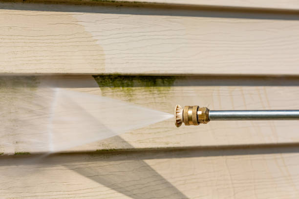 Best Roof Pressure Washing  in Tangerine, FL