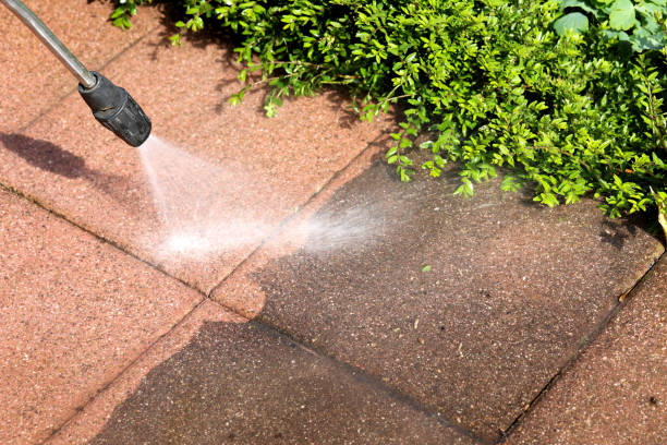 Best Pressure Washing Company Near Me  in Tangerine, FL